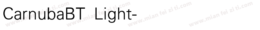 CarnubaBT Light字体转换